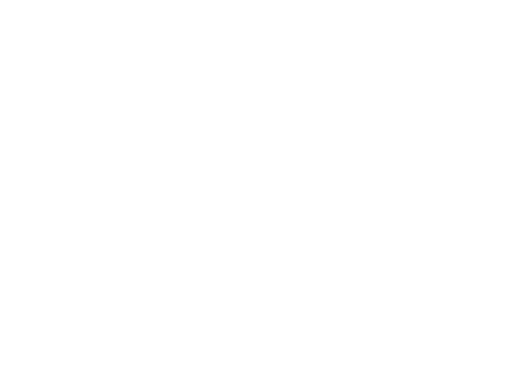 Solen