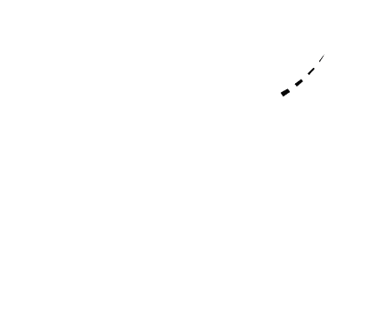 MT Staj