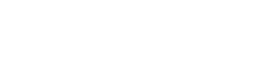 Partner: FNSS